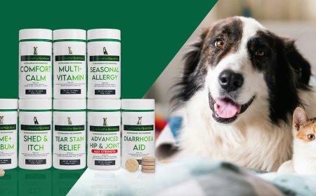 Best Dog Vitamins | Boost Your Dog’s Energy, Coat & Immune System