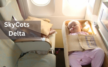 Delta SkyCots (Bassinet Seat)—All You Need To Know Guide