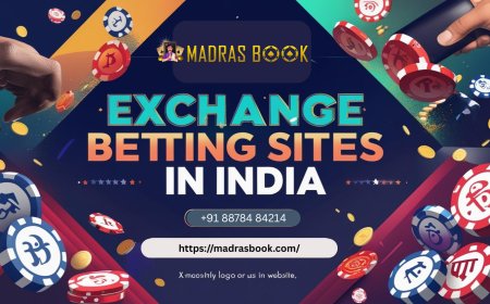 2025’s Most Popular Exchange Betting Sites in India