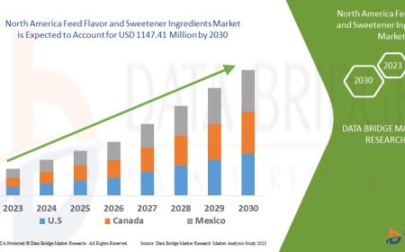 North America Feed Flavor and Sweetener Ingredients Market Sees Growth Amid Rising Livestock Nutrition Demand
