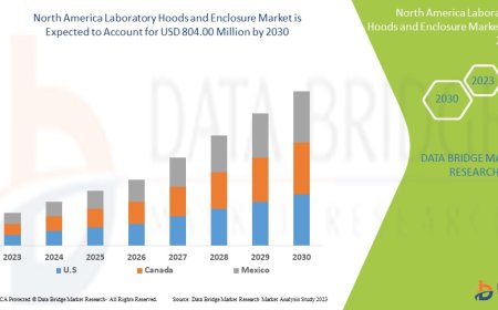 North America Laboratory Hoods and Enclosure Market Driven by Stringent Safety Standards in Research Labs