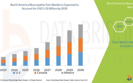 North America Neuropathic Pain Market Rises Amid Growing Cases of Chronic Pain Disorders