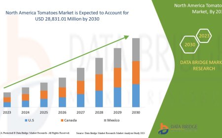 North America Tomatoes Market Flourishes with Demand for Fresh and Processed Tomato Products