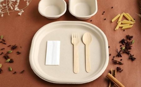 Raw Material Requirements for Setting Up a Bagasse Based Biodegradable Cutlery Manufacturing Plant