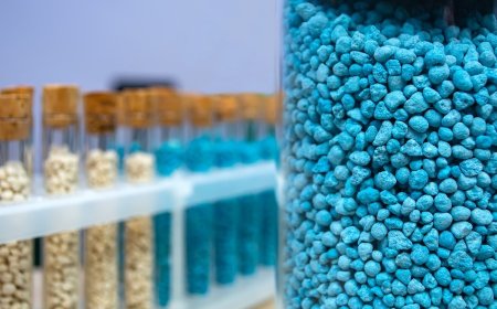 Report on Biodegradable Plastic Granules Manufacturing Plant Setup with Cost Analysis and Requirements