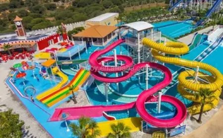 Wholesale Outdoor Play Equipment: Best Deals for Schools & Parks