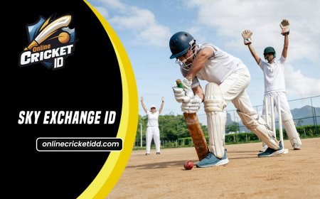 Sky Exch for Beginners: Easy to Use Sky Exchange ID 