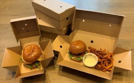 Custom Burger Boxes: Serving Flavor and Branding in Every Bite