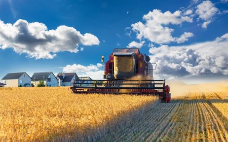 Agricultural Diesel Suppliers: Essential Partners for Modern Farming