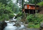 Explore Coorg Tour Packages from Bangalore at Best Price