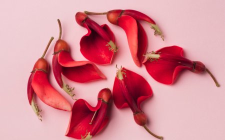 Why Silk Flower Petals Are Perfect for Weddings and Events