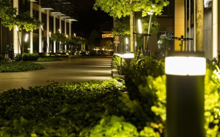 Lighting Your Bonita Springs Landscape: Design Tips 2025