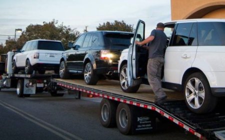 Best Vehicle Transport Service in Tampa – Trusted by Locals