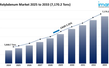 Molybdenum Market Size, Share, and Growth Analysis 2025-2033