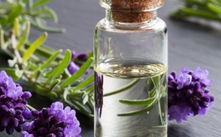 Comprehensive Approach to Setting Up a Lavender Oil Processing Plant | IMARC Group Report
