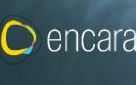 NDIS Physiotherapy Services