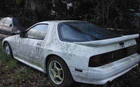 Top Reasons to Use Professional Abandoned Vehicle Services