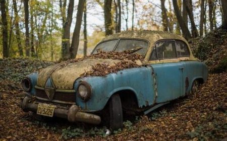 Why Real Estate Managers Rely on Abandoned Car Services
