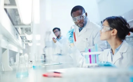 Expert Networks in Private Equity: A Strategic Advantage