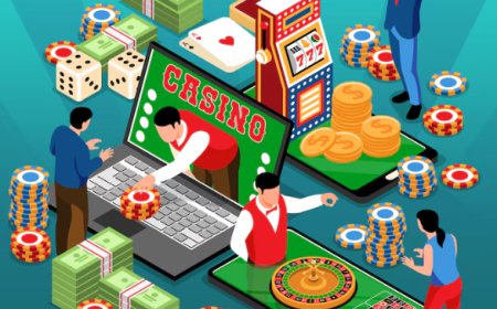 Casino Software for Sale: White Label and Custom Solutions Available