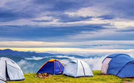 Ideal Summer Destinations in Shimla Manali