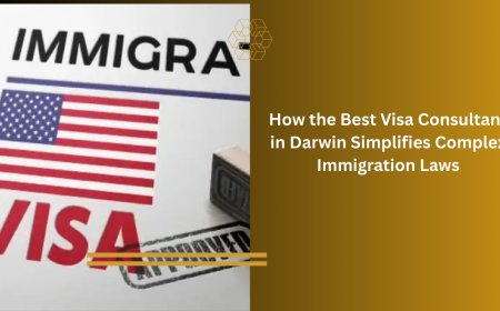 How the Best Visa Consultant in Darwin Simplifies Complex Immigration Laws