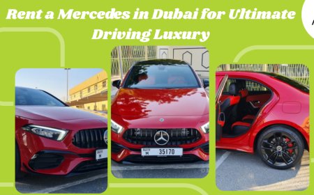 Rent a Mercedes in Dubai for Ultimate Driving Luxury
