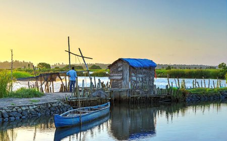 Kerala Tour Packages under 10000: Incredible Value, Unforgettable Trip