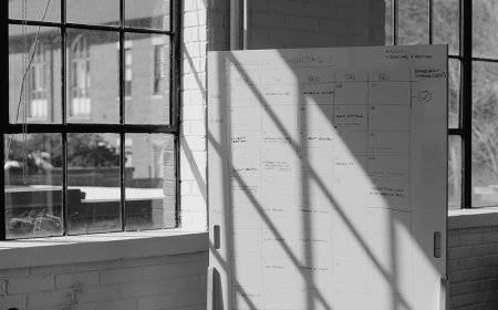 How MX5 Consulting is Redefining Business Success