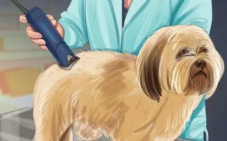 Proven Profitable Franchise Models for Smart Investors