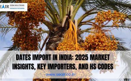 Dates Import in India: 2025 Market Insights, Key Importers, and HS Codes