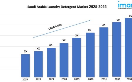 Saudi Arabia Laundry Detergent Market Size, Trends, Demand & Forecast 2025-2033