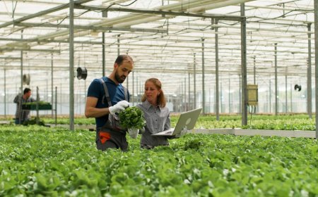 How Greenhouse Business Software Connects Production to Point of Sale