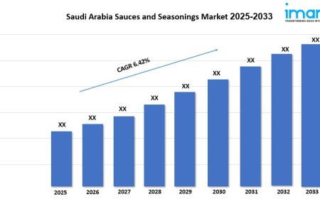 Saudi Arabia Sauces and Seasonings Market Report 2025, Demand, Trends And Growth 2033