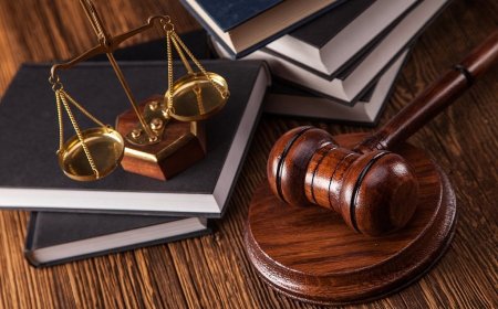 5 Steps to Take Immediately When You Need a Harassment Lawyer