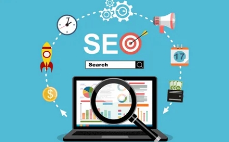 SEO Agency vs. Freelancer: What’s Better for Local SEO in Lahore?