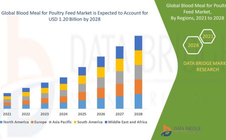Blood Meal for Poultry Feed Market: Insights and Competitive Analysis
