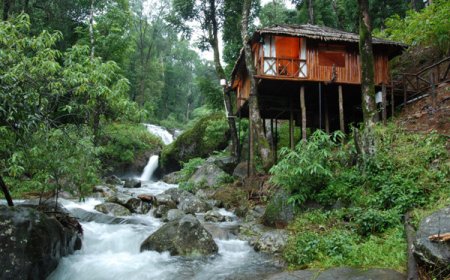 Explore Coorg Tour Packages from Bangalore at Best Price