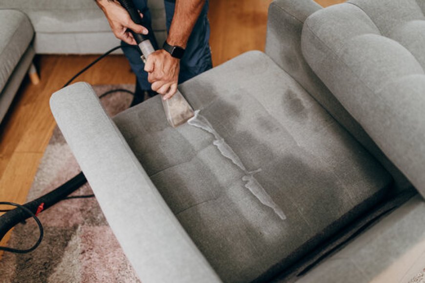 What to Expect from Upholstery Cleaning Services in Pinecrest