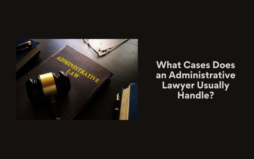 What Cases Does an Administrative Lawyer Usually Handle?