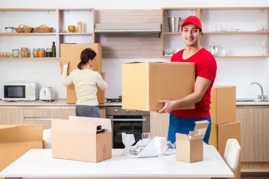 Are There Affordable Movers in Cutler Bay for Local Relocations?